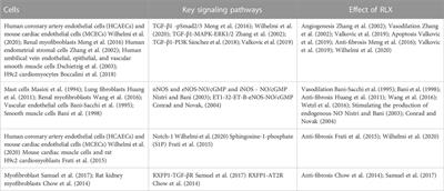 Relaxin in fibrotic ligament diseases: Its regulatory role and mechanism